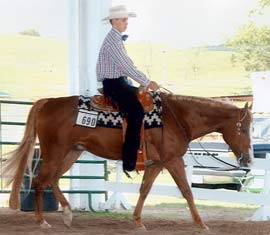 Skipa Rhinestone - Ohio Horse for sale.